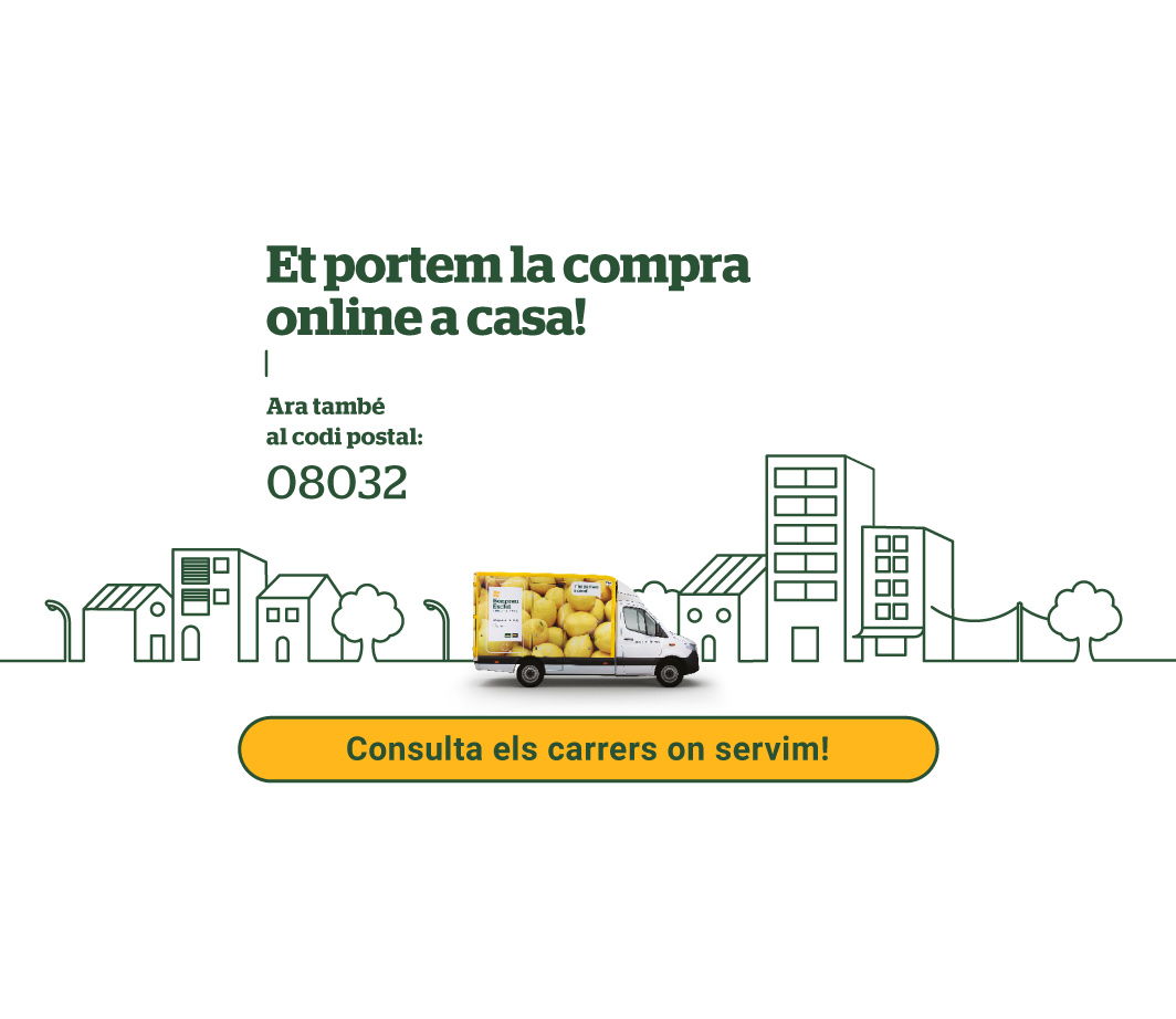 Hola Barcelona! -3- Pàgina de contingut