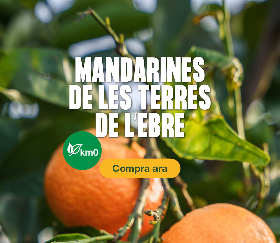 Fes clic aquí per veure les nostres mandarines Km0 -3- Pàgina de detalls de producte