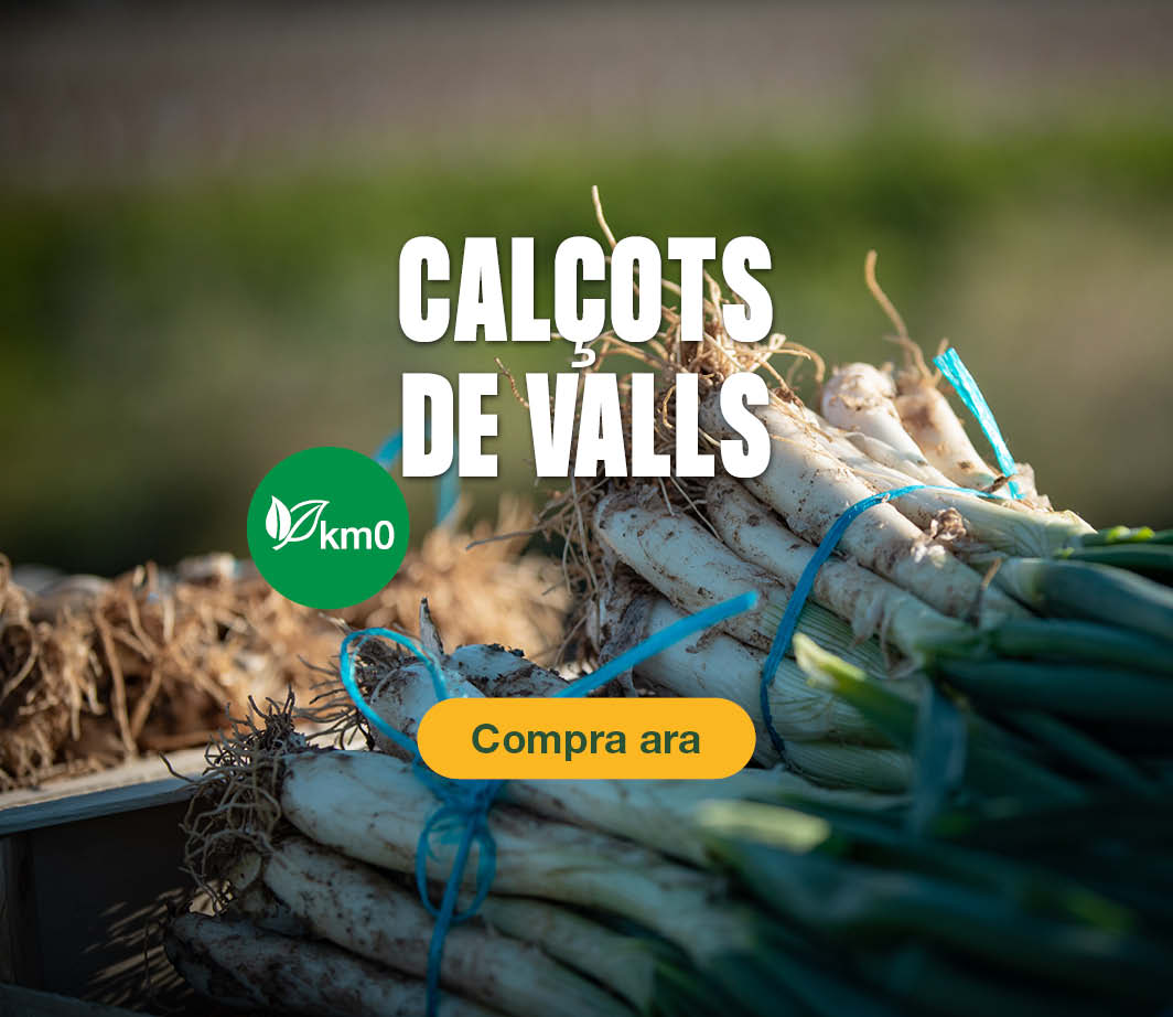 Fes clic aquí per veure  els nostres calçots Km0 -3- Targeta de producte