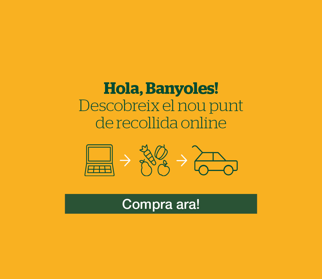 Hola Banyoles! -3- Pàgina de contingut