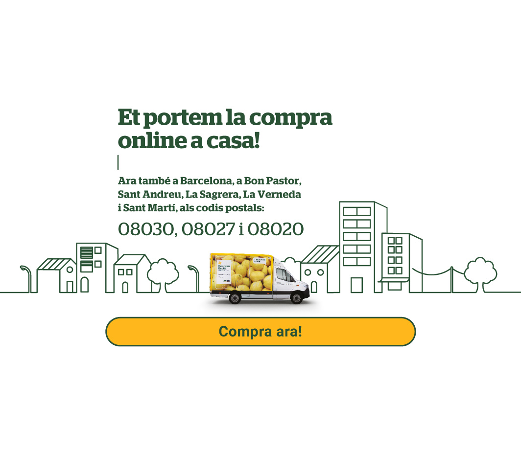 Hola Barcelona! -3- Pàgina de contingut