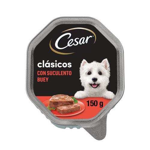 CESAR Menjar amb bou per a gos
