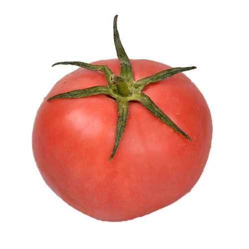  Tomàquet rosa 1 u.