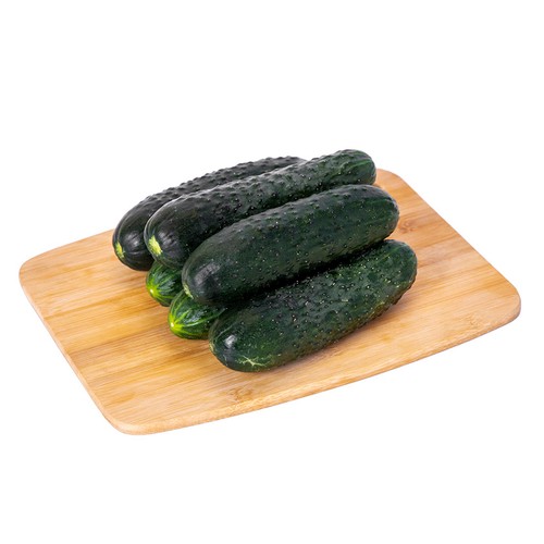  Cogombre curt en malla 1 kg