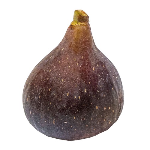  Figues negres km0 1 u.