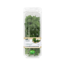 LA COLLITA Coriandre fresc Km0 en safata de 30 g