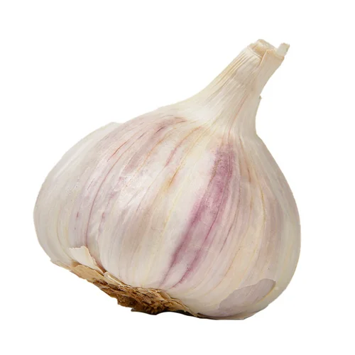 Servilletas de 40 cm Amapola