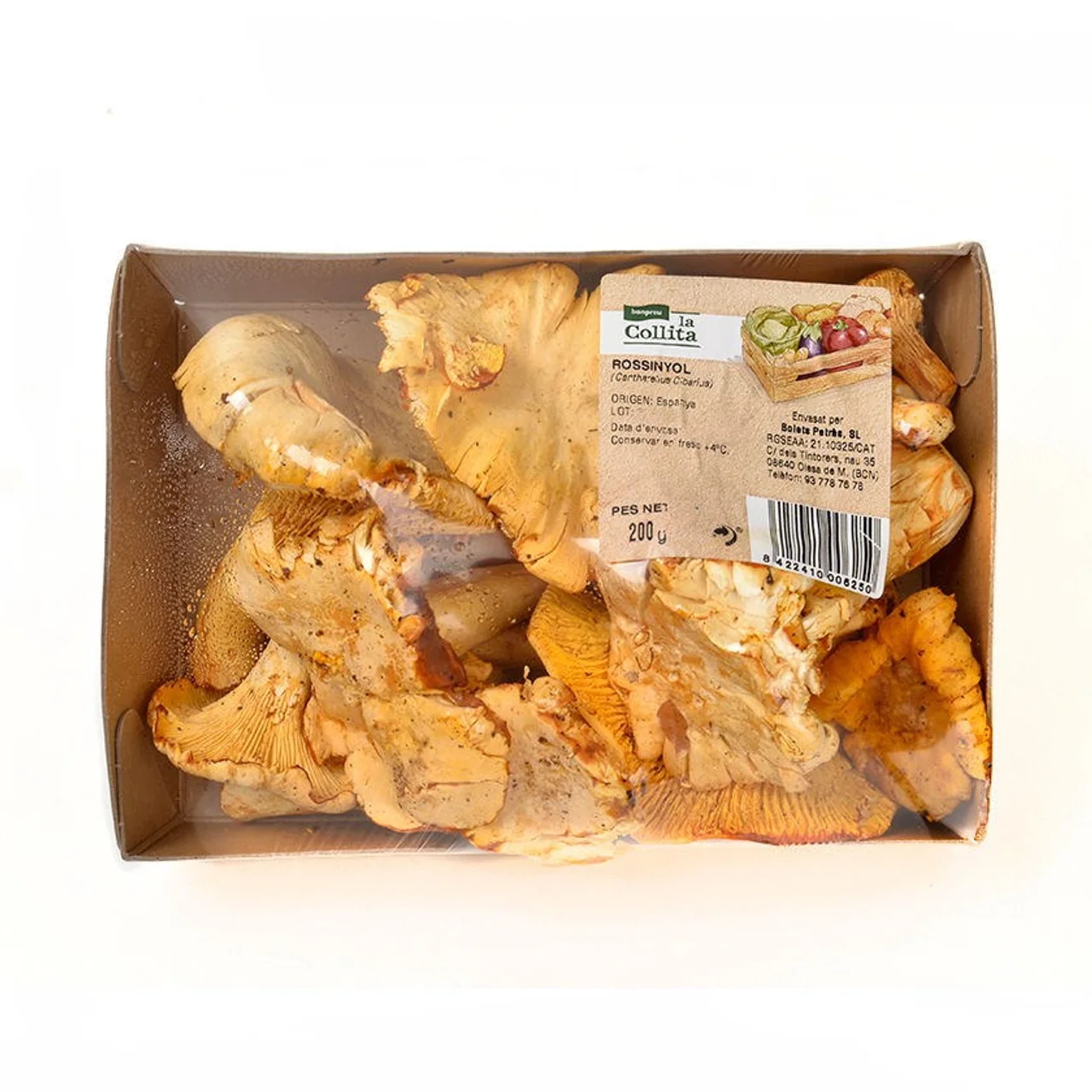 Rebozuelo en bandeja de 200 g