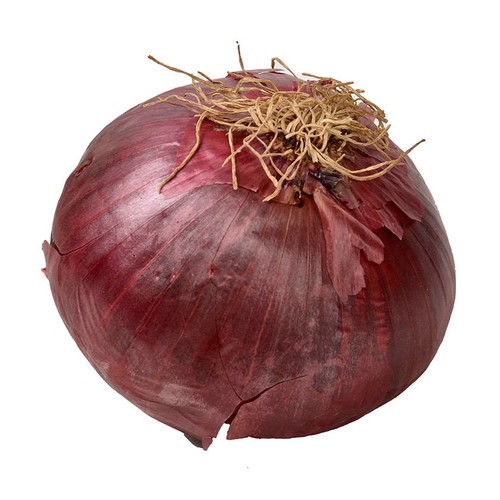  Ceba vermella 1 u.