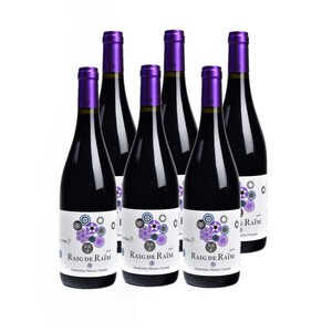 Imagen de RAIG DE RAÏM Vi negre DO Terra Alta Km0