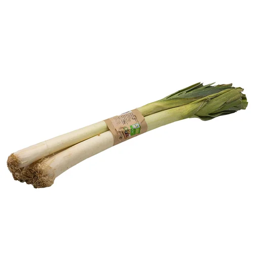 Cebolla ecológica en bolsa de 1 Kg
