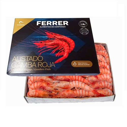 F.FERRER Gamba vermella allistada