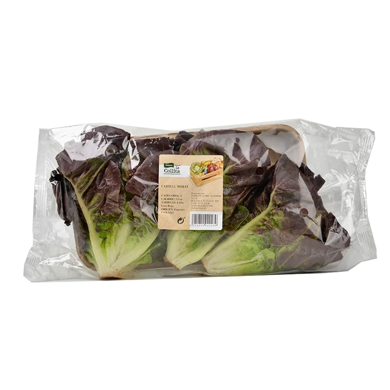 Cogollo morado en bandeja de 450 g