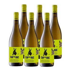 Imagen de CAP DE RUC Caixa de vi blanc DO Catalunya Km0