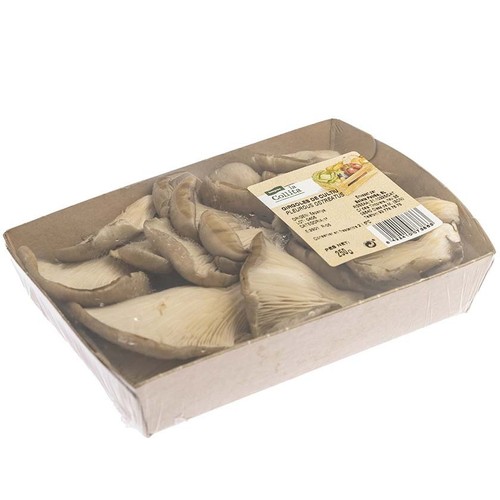 LA COLLITA Gírgoles Pleorotus en safata de 250 g