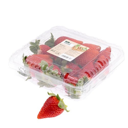LA COLLITA Maduixot Km0 en terrina de 500 g