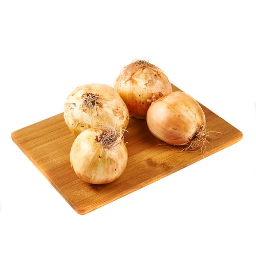 Queso Parma Reggiano eco