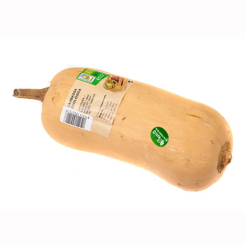  Carbassa ecològica Km0 1 u.