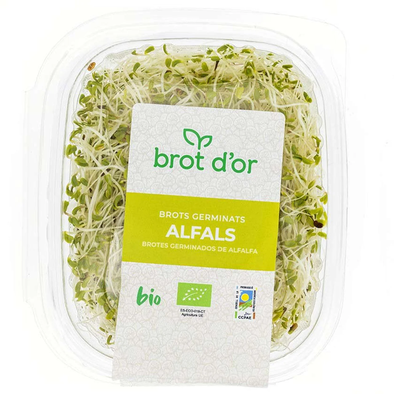 Brotes germinados de alfalfa ecológicos en bandeja de 50 g