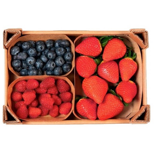  Assortit de fruits vermells en capsa de 650 g