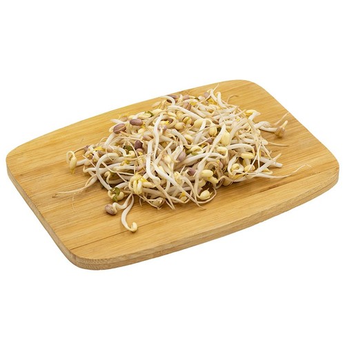 BROT D'OR Brots germinats de mongeta Mungo ecològica en safata de 50 g