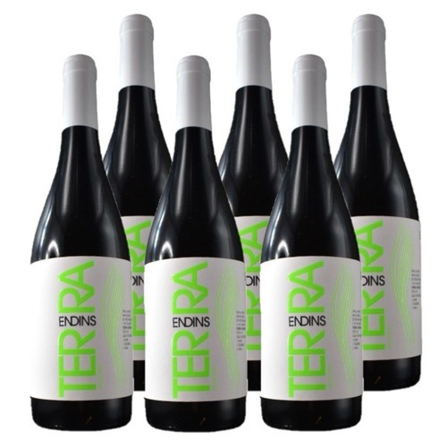 TERRA ENDINS Caixa de vi negre ecològic DO Catalunya