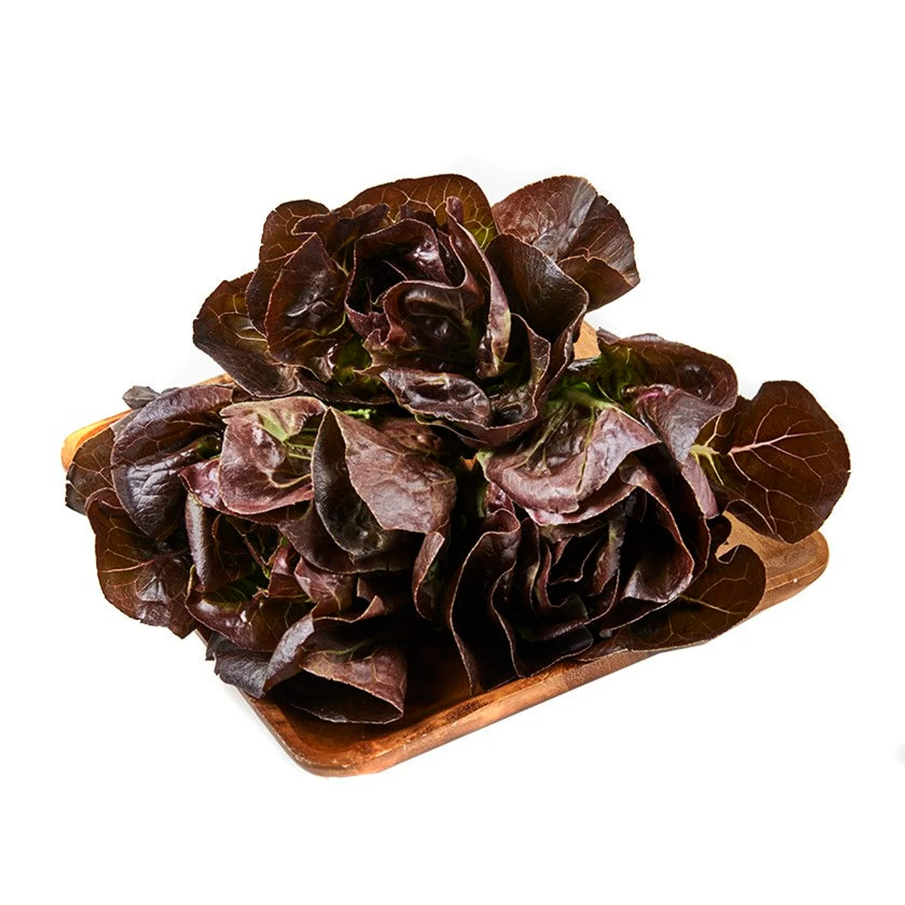 Cogollo morado en bandeja de 450 g