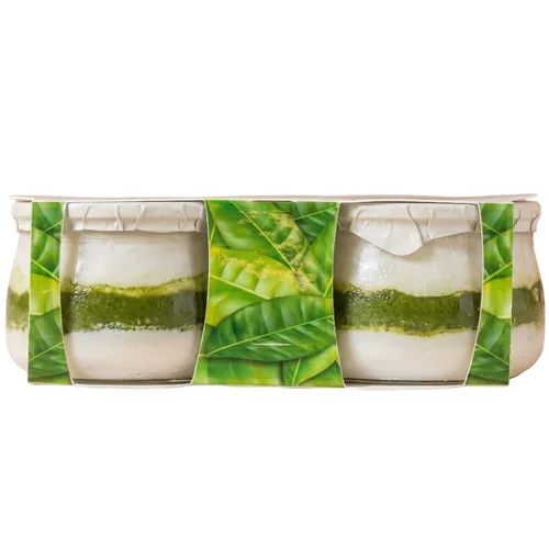 Yogur griego artesano con arándanos
