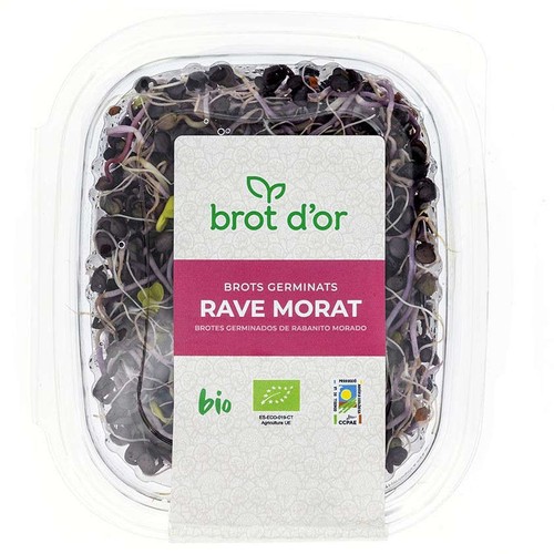 BROT D'OR Brots germinats de rave morat ecològics en safata de 50 g