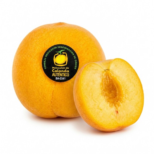  Préssec Calanda 1u.