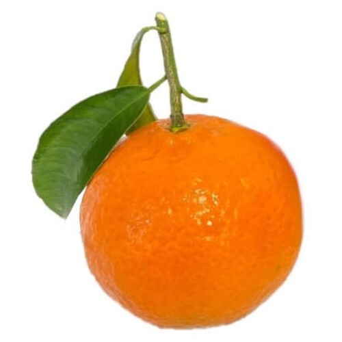  Mandarina fulla 1 u.