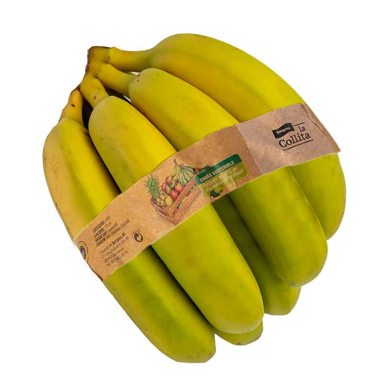 Plátano de Canarias IGP manojo 800 gramos