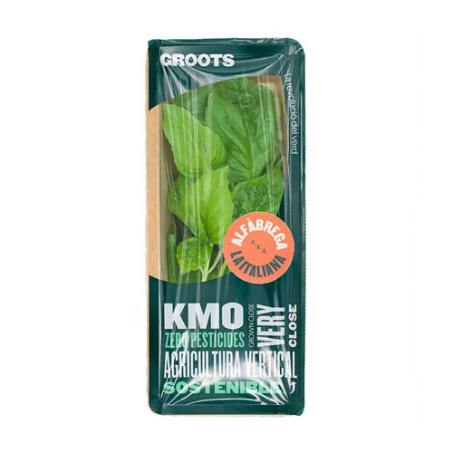  Alfàbrega Km0 en safata de 30 grams