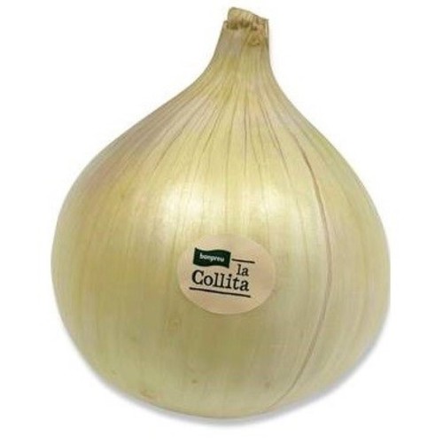  Ceba dolça 1 u.