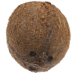 Coco 1 ud