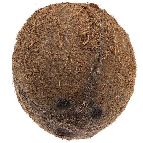  Coco 1 u.