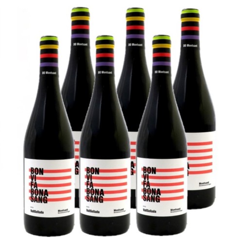 VALL SELLADA Caixa 6u. vi negre DO Montsant
