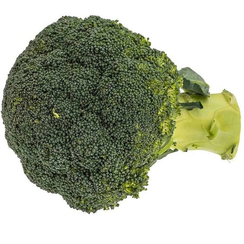 LA COLLITA Bròcoli 1 u.