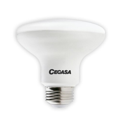 CEGASA Bombeta Led E27R90 llum freda 15W-6.500K