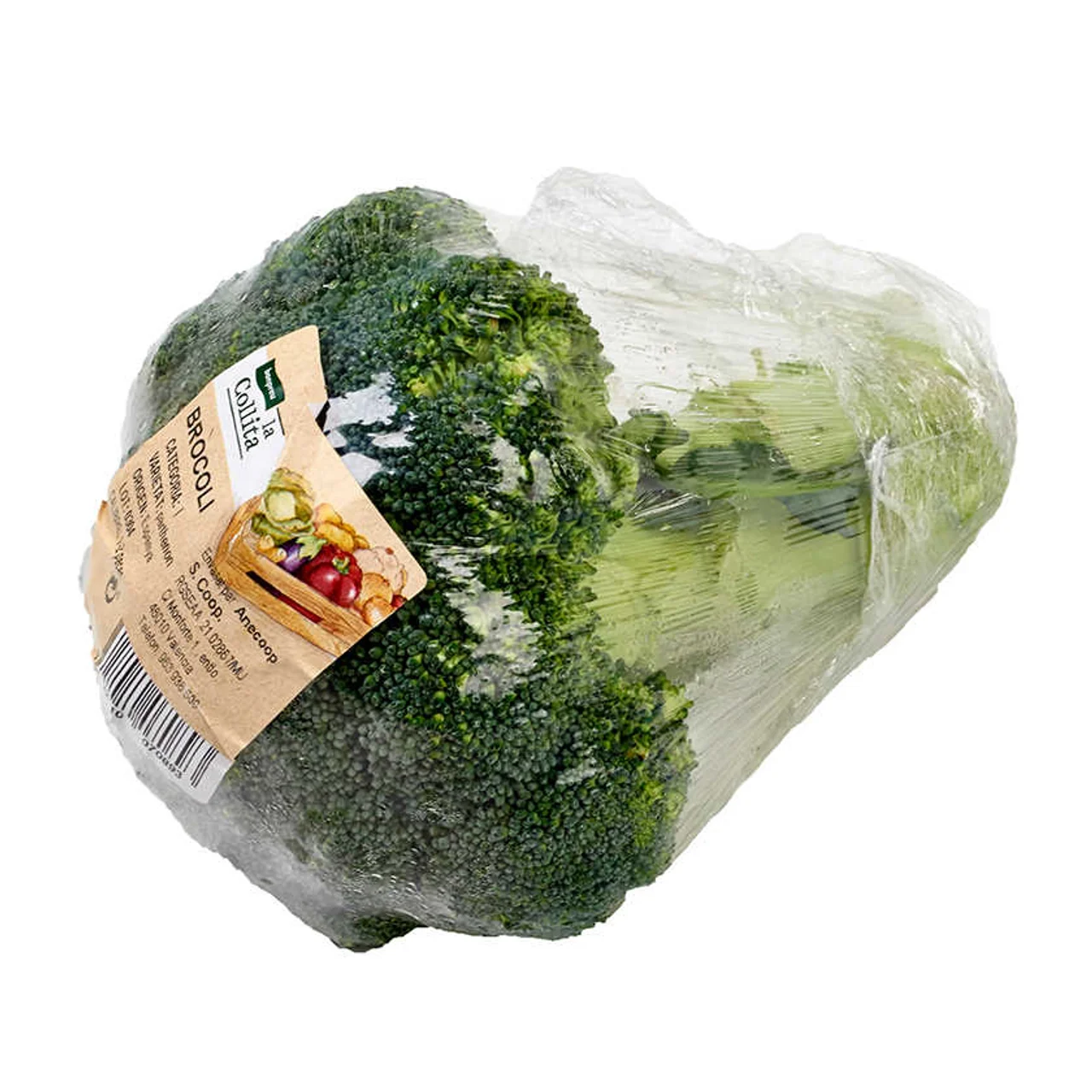 Brócoli 1 u.