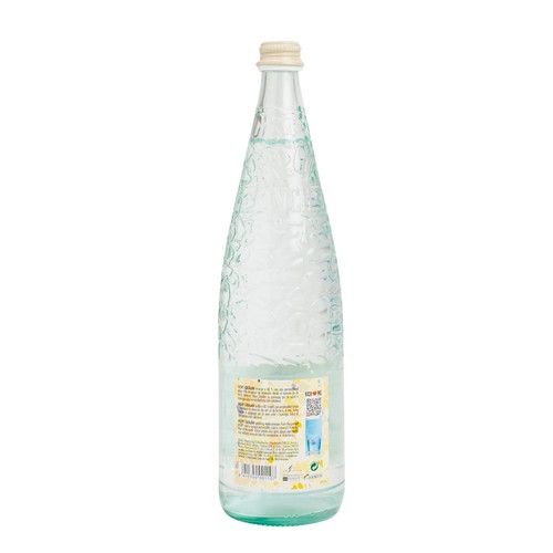 VICHY CATALAN Aigua mineral amb gas 1 L