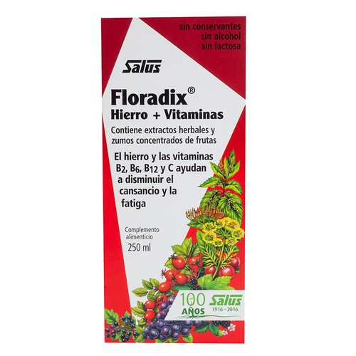 SALUS Floradix ferro i vitamines