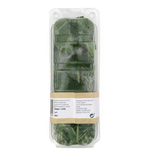 LA COLLITA Menta fresca Km0 en safata de 30 g