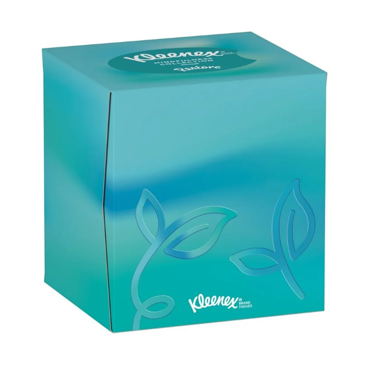 Pañuelos de papel