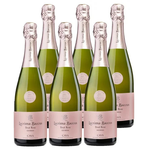 TERRA I TAST Leche entera Km0 6x1L en botella
