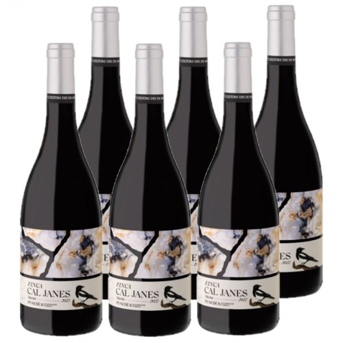 FINCA CAL JANES Caixa de vi negre DO Penedès Km0 ecològic