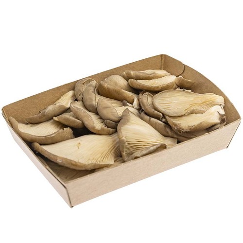 LA COLLITA Gírgoles Pleorotus en safata de 250 g