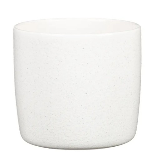 SCHEURICH Test perla 21cm