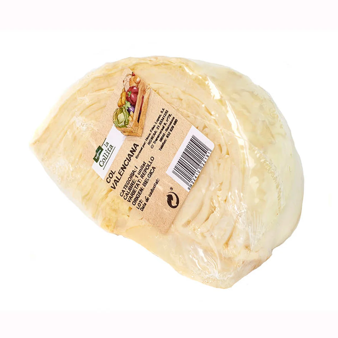 Col valenciana filmada de 450 g