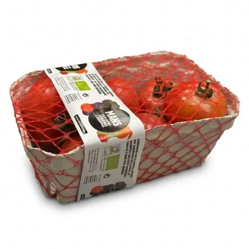 Kiwi amarillo ecológico en bandeja de 500 gr